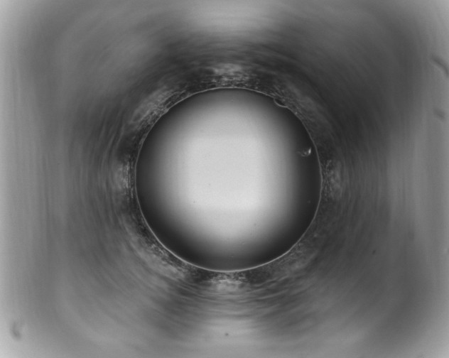 X0000102310756200807251440