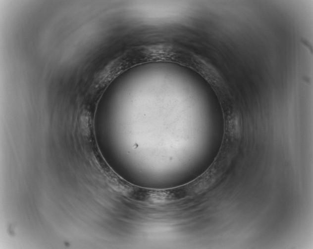 X0000102310757200807251440