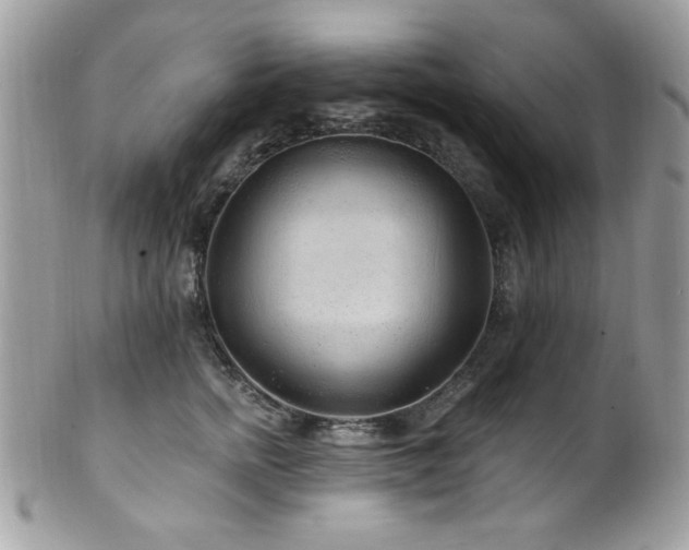 X0000102310758200807251440