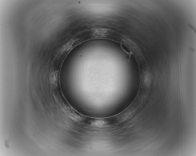 X0000102310759200807251440