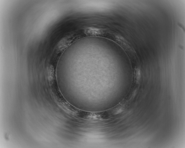 X0000102310760200807251440