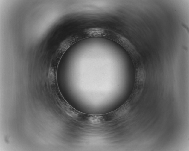 X0000102310761200807251440