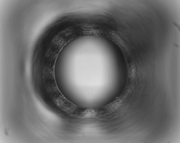 X0000102310764200807251440