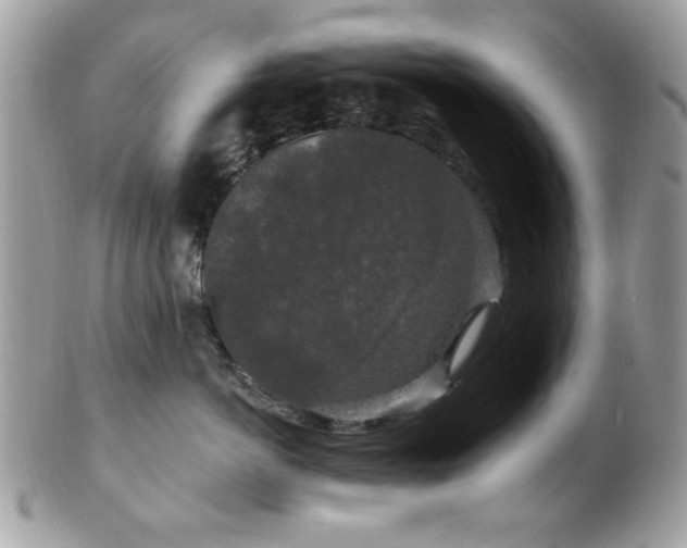 X0000102310766200807251440