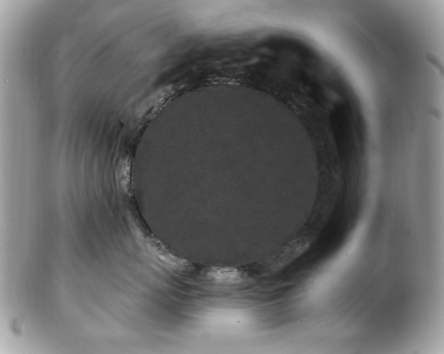 X0000102310767200807251440