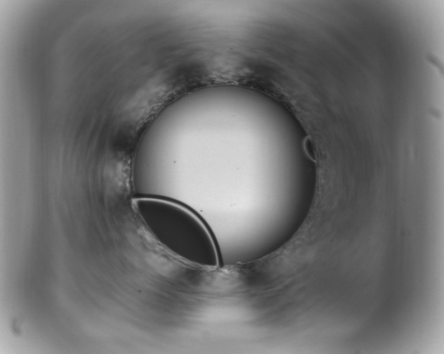 X0000102310768200807251440