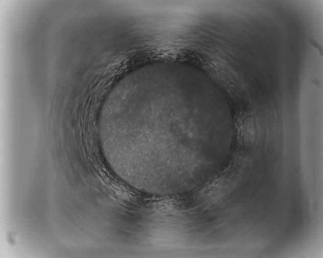 X0000102310769200807251439