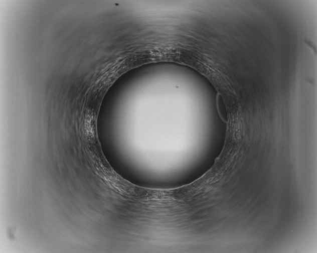 X0000102310770200807251439