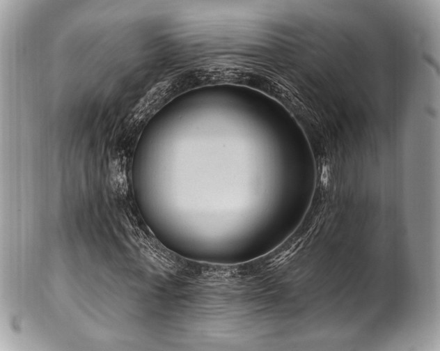 X0000102310771200807251439