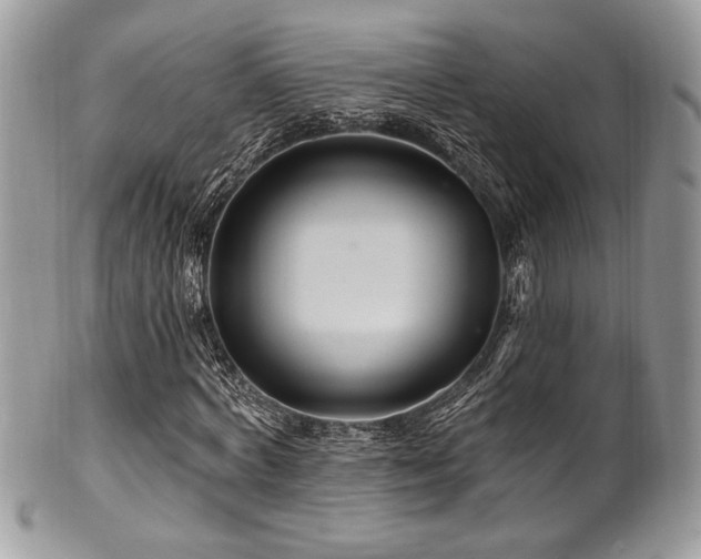 X0000102310772200807251439