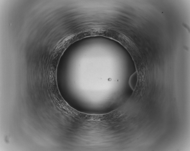 X0000102310773200807251439