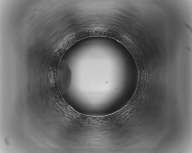 X0000102310774200807251439