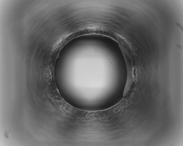 X0000102310776200807251439