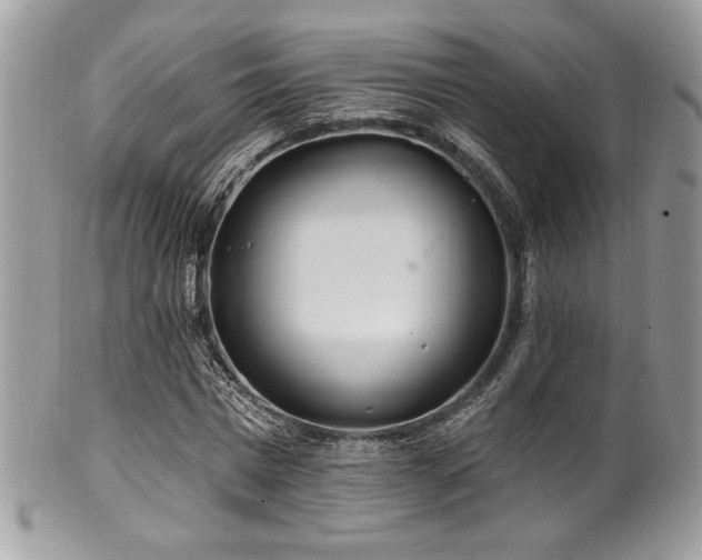 X0000102310777200807251439