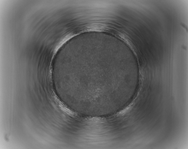X0000102310779200807251439