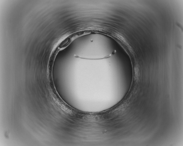 X0000102310780200807251439