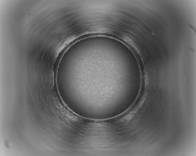 X0000102310781200807251439