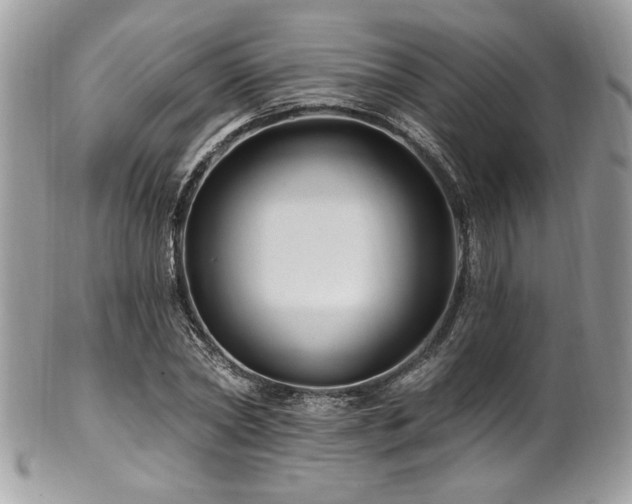 X0000102310782200807251439