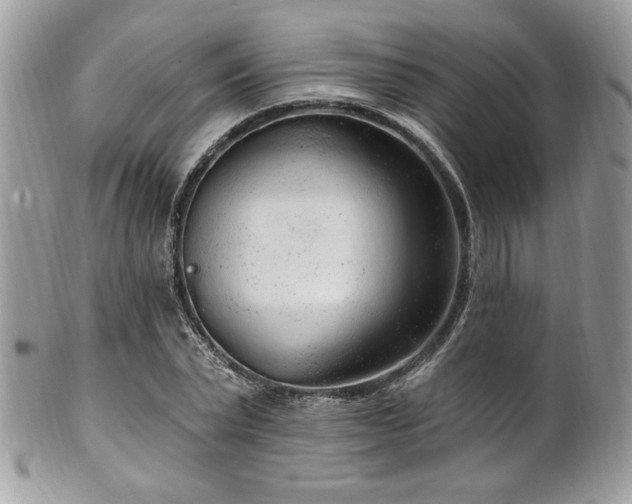 X0000102310783200807251439