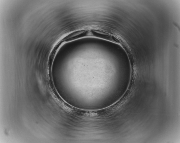 X0000102310784200807251438