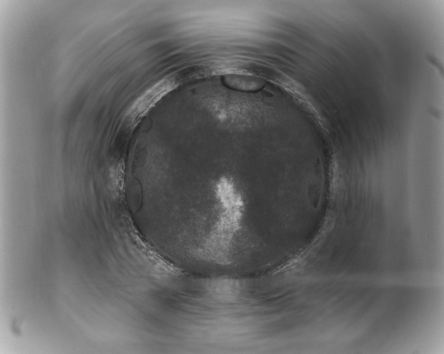 X0000102310785200807251438