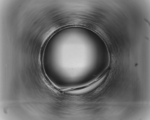 X0000102310788200807251438