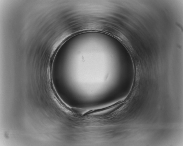 X0000102310796200807251438