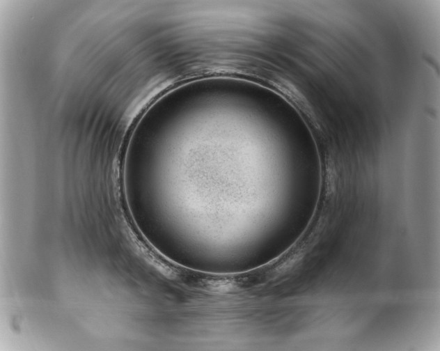 X0000102310798200807251438