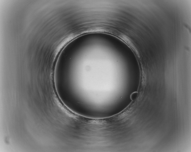 X0000102310805200807251438