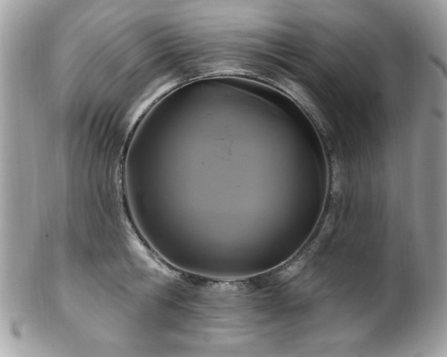 X0000102310806200807251438