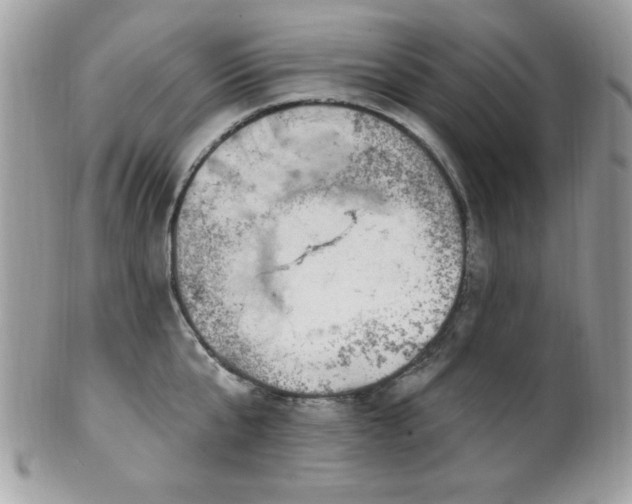 X0000102310807200807251438