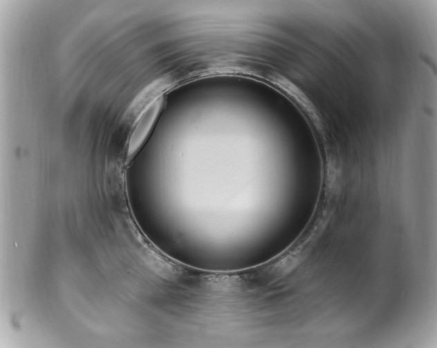 X0000102310809200807251438