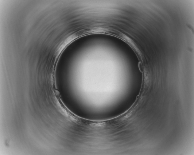 X0000102310810200807251438