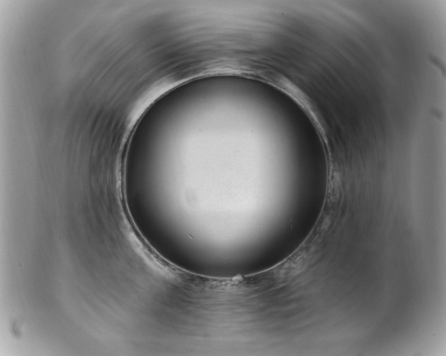 X0000102310811200807251438