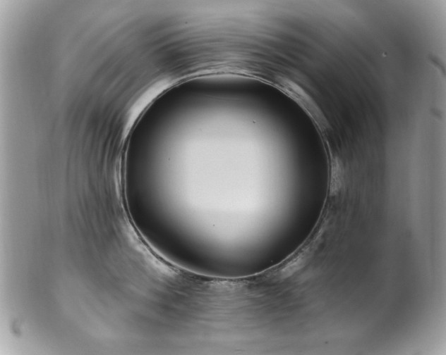 X0000102310812200807251438