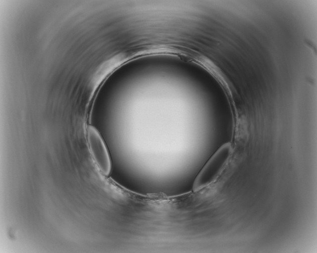X0000102310813200807251438