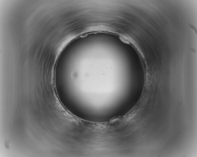 X0000102310815200807251438