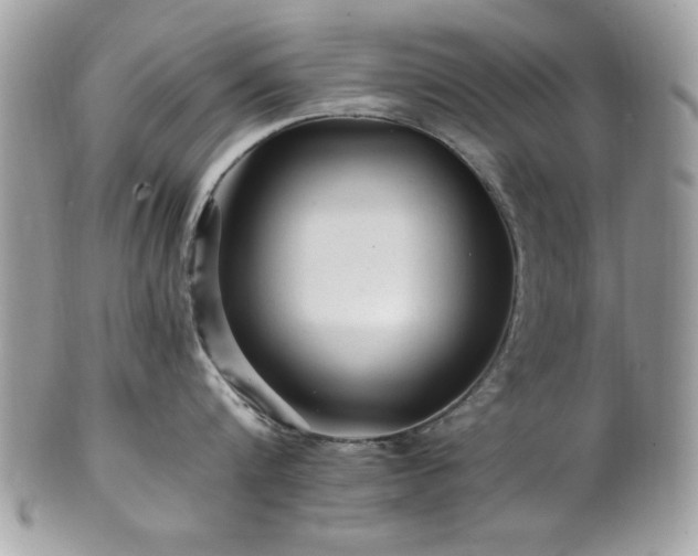 X0000102310816200807251438
