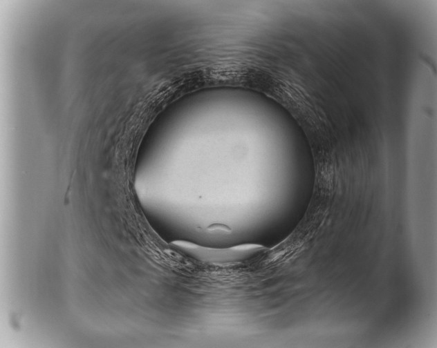 X0000102310817200807251437