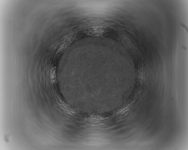 X0000102310818200807251437