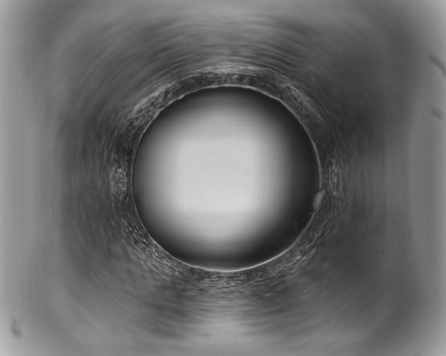 X0000102310821200807251437