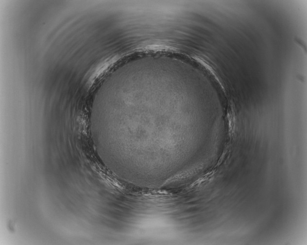 X0000102310823200807251437