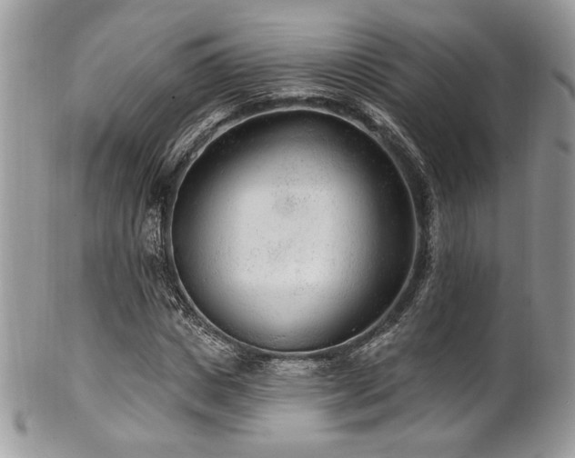 X0000102310825200807251437