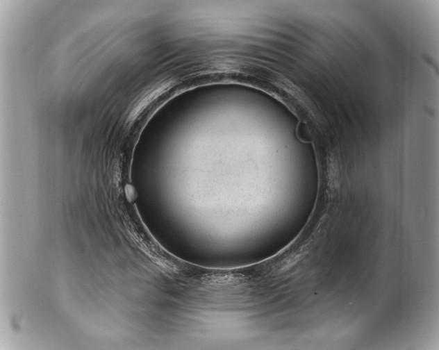 X0000102310826200807251437