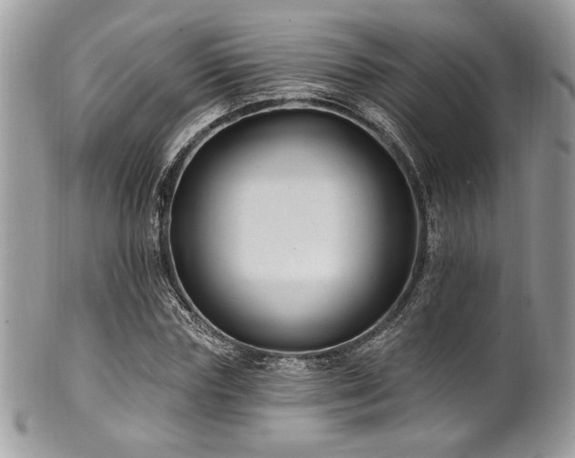 X0000102310827200807251437