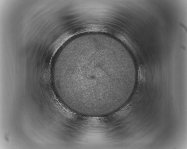 X0000102310828200807251437