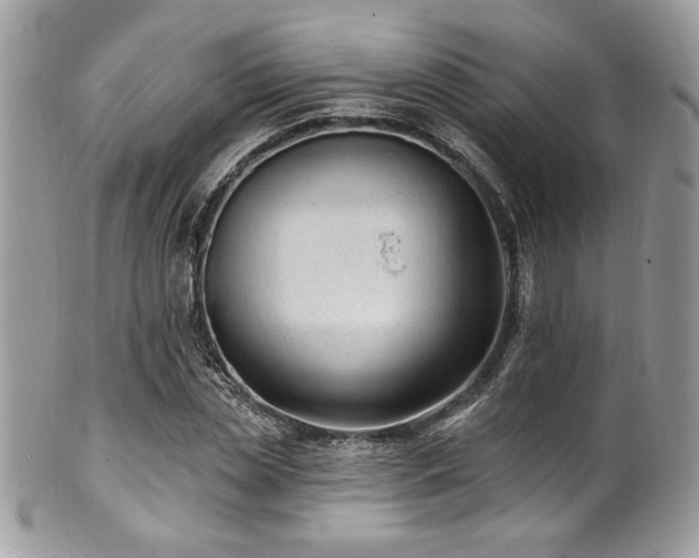X0000102310829200807251437
