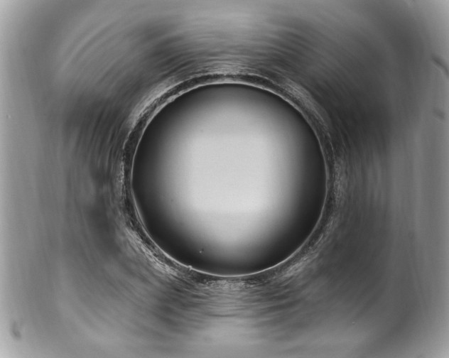 X0000102310831200807251437