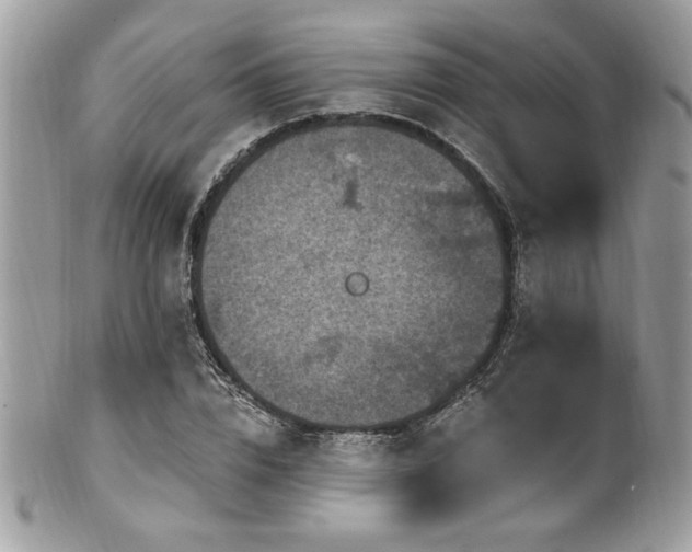 X0000102310832200807251437