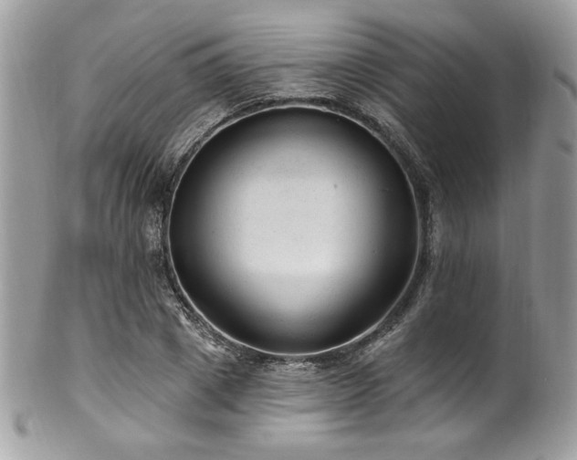 X0000102310833200807251437